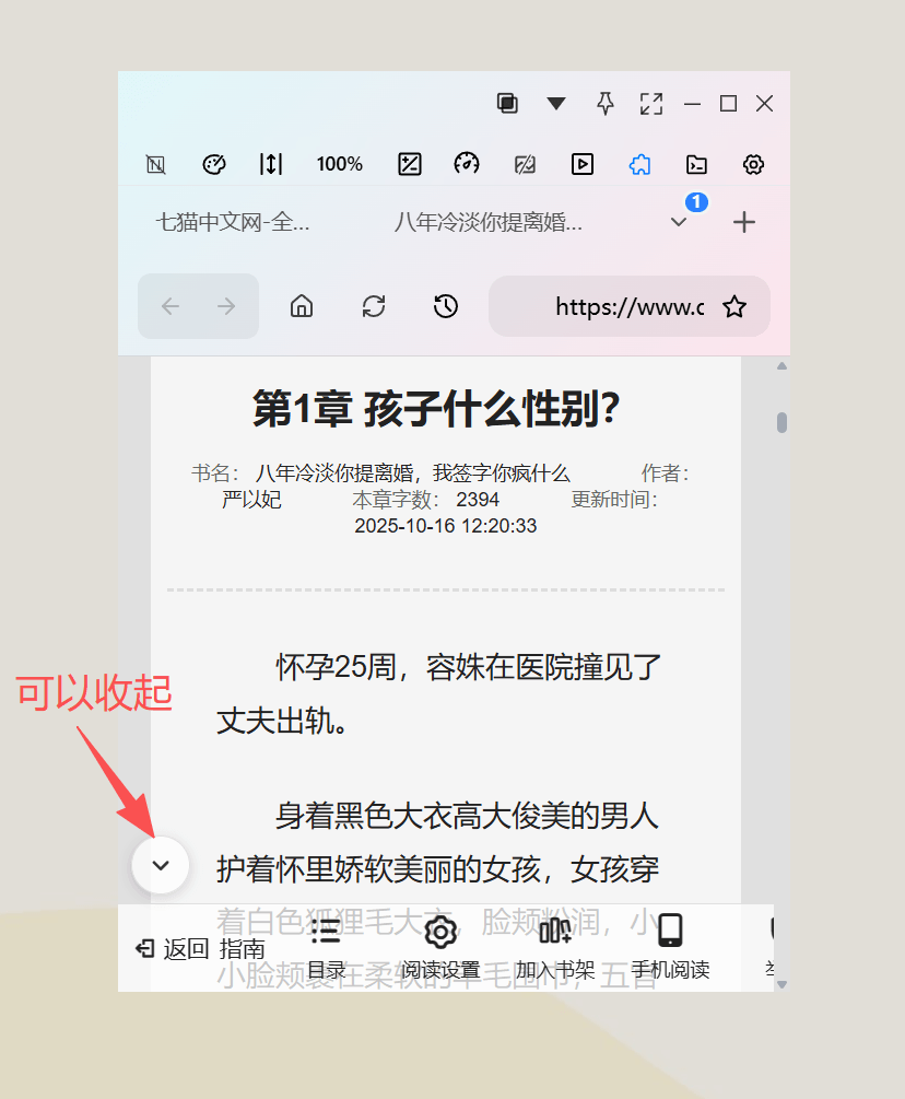 启用小说网站插件后文字自适应窗口且目录按钮可正常操作的界面
