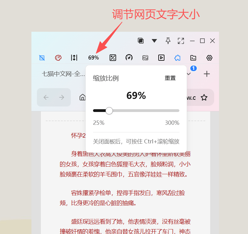无边阅读器网页缩放比例弹窗中调整文字大小的界面