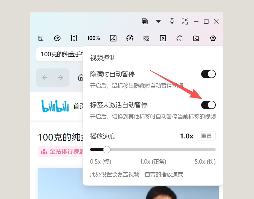 无边阅读器多标签视频播放时切换标签自动暂停的设置界面